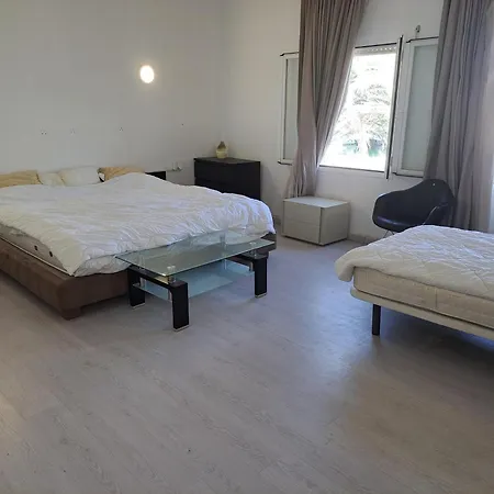Huge Penthouse With Private Shared Terrace And Kitchen Views 호스텔